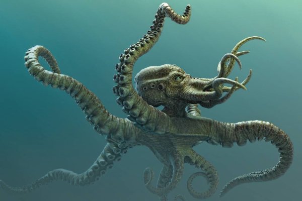 Kraken зеркало тор ссылка