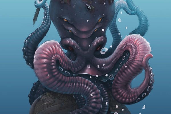 Kraken верификация