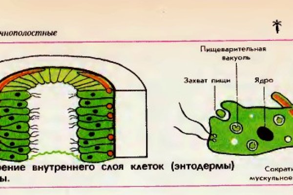 Кракен сайт как выглядит